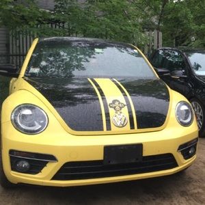 Meet your Posher, Shaun